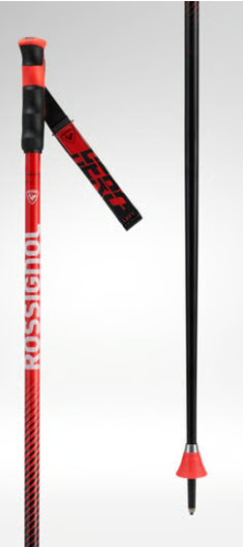 Preview: ROSSIGNOL Hero GS-SG